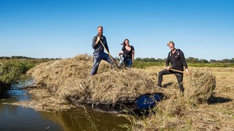 De Waaier in actie foto 1