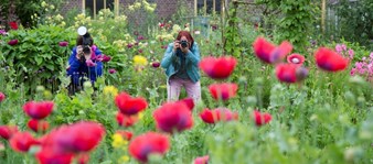 foto 1 bij beginnerscursus fotografie Hortus Alkmaar