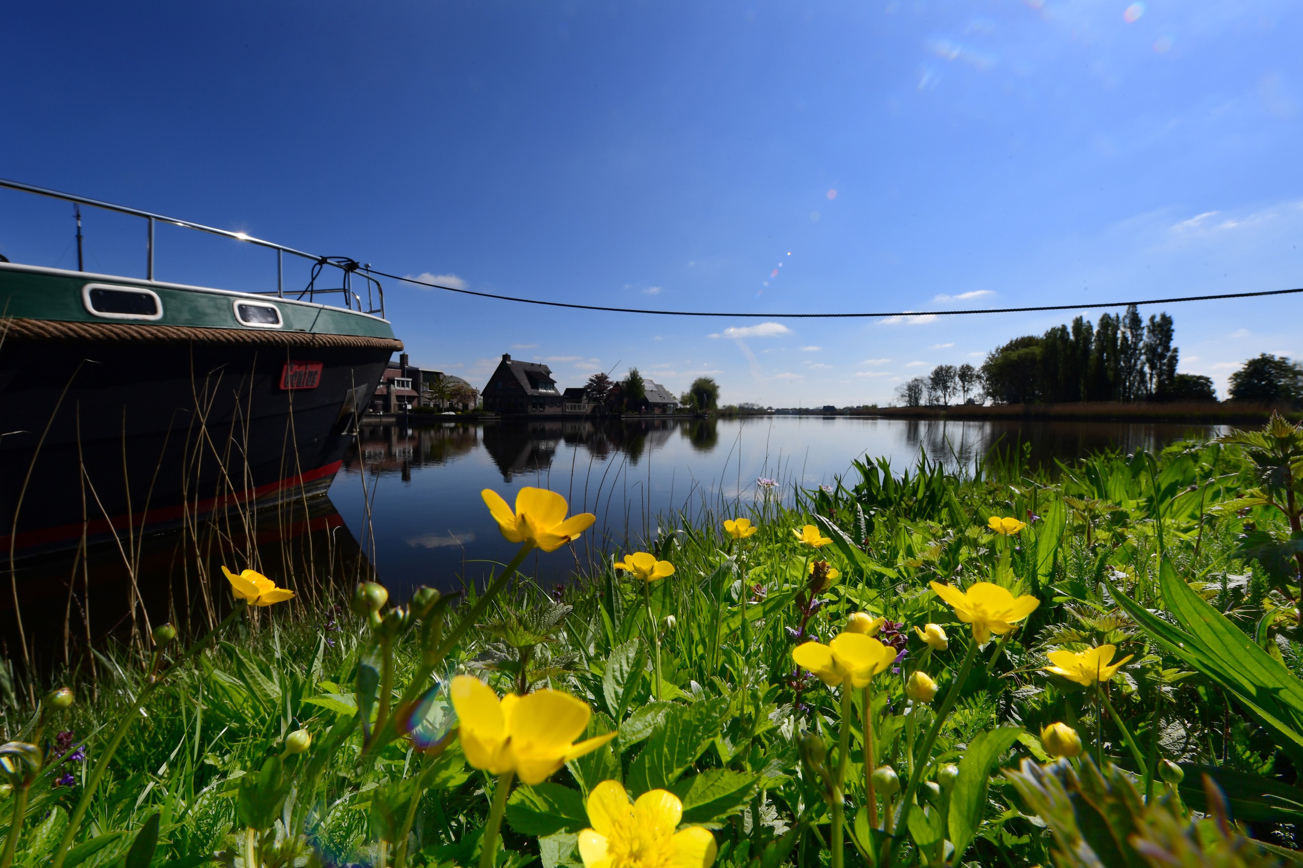 Geef uw mening over de concept-visie Westdijk en Havens