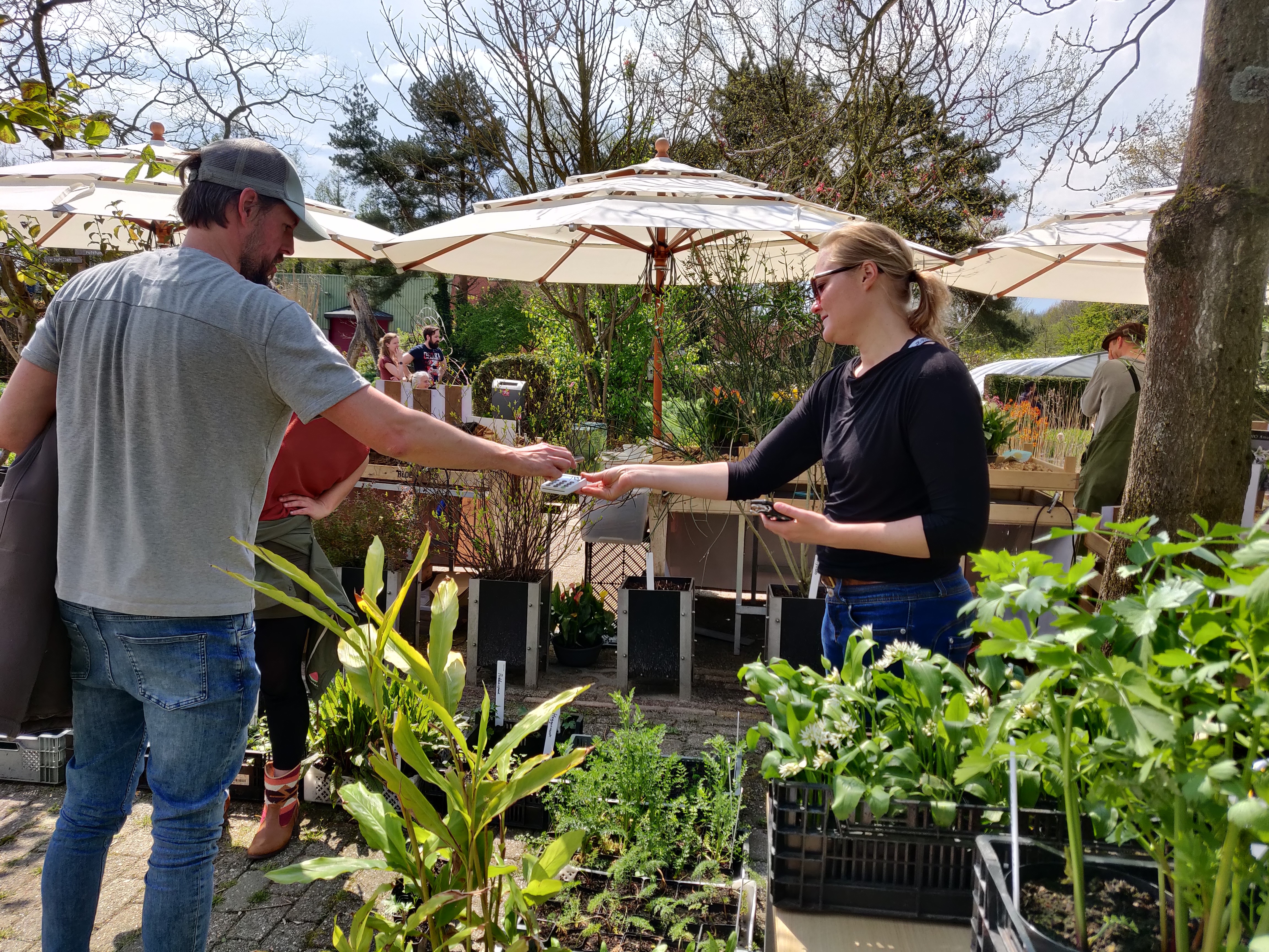 Plantenmarkt bij Hortus Alkmaar