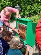 bijendag zomer 2022 - 1