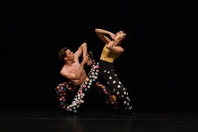 Holland Dance Festival foto 1