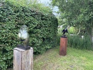 IMG_2979