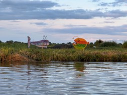 IMG_2992