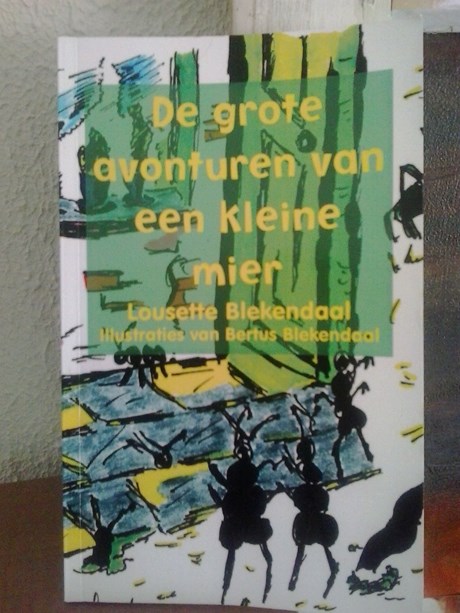 De grote avonturen van een kleine mier - Lousette Blekendaal