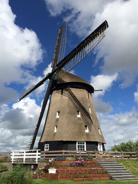 Twuyvermolen
